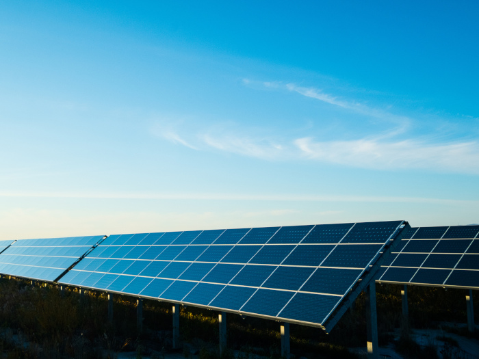 日本における脱炭素・カーボンニュートラルの目標｜世界との違い